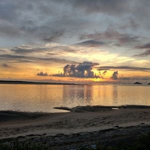 Meet your Posher, Thomas